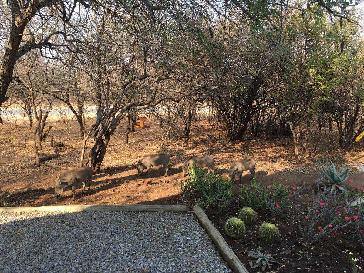 Giraffe Lodge Hoedspruit Exterior foto