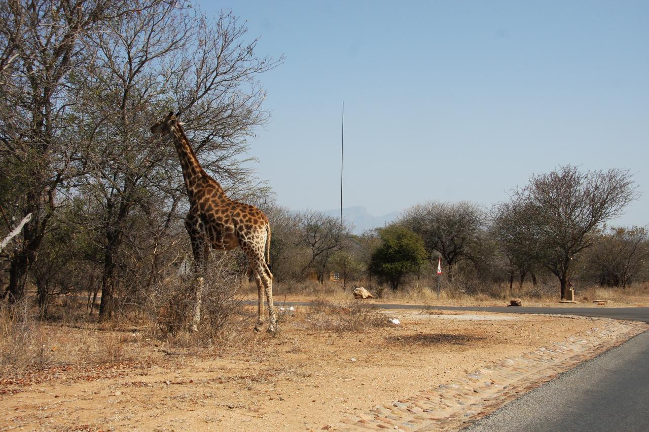 Giraffe Lodge Hoedspruit Exterior foto